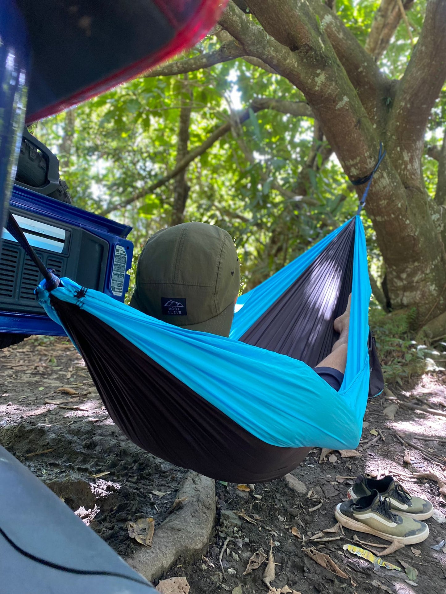 Adult Hammock